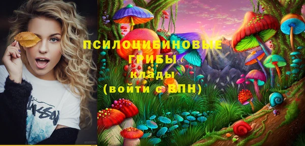 Альфа ПВП Алексин