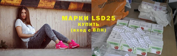 прущие грибы Алзамай