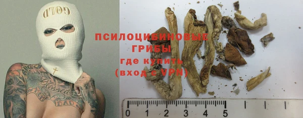 спиды Алексеевка