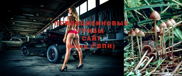 прущие грибы Алзамай