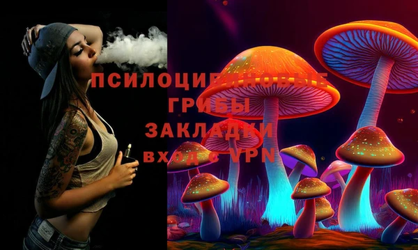 спиды Алексеевка