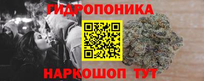 хмурый Новозыбков