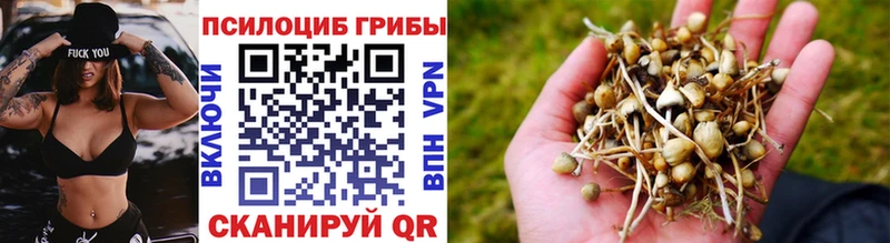 blacksprut сайт  Чистополь  Псилоцибиновые грибы ЛСД 