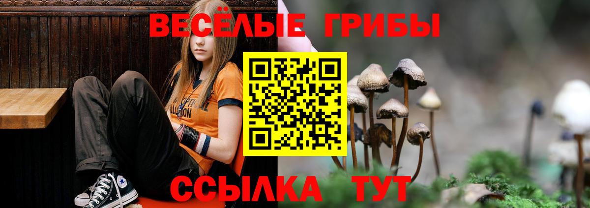Галлюциногенные грибы мухоморы Чистополь